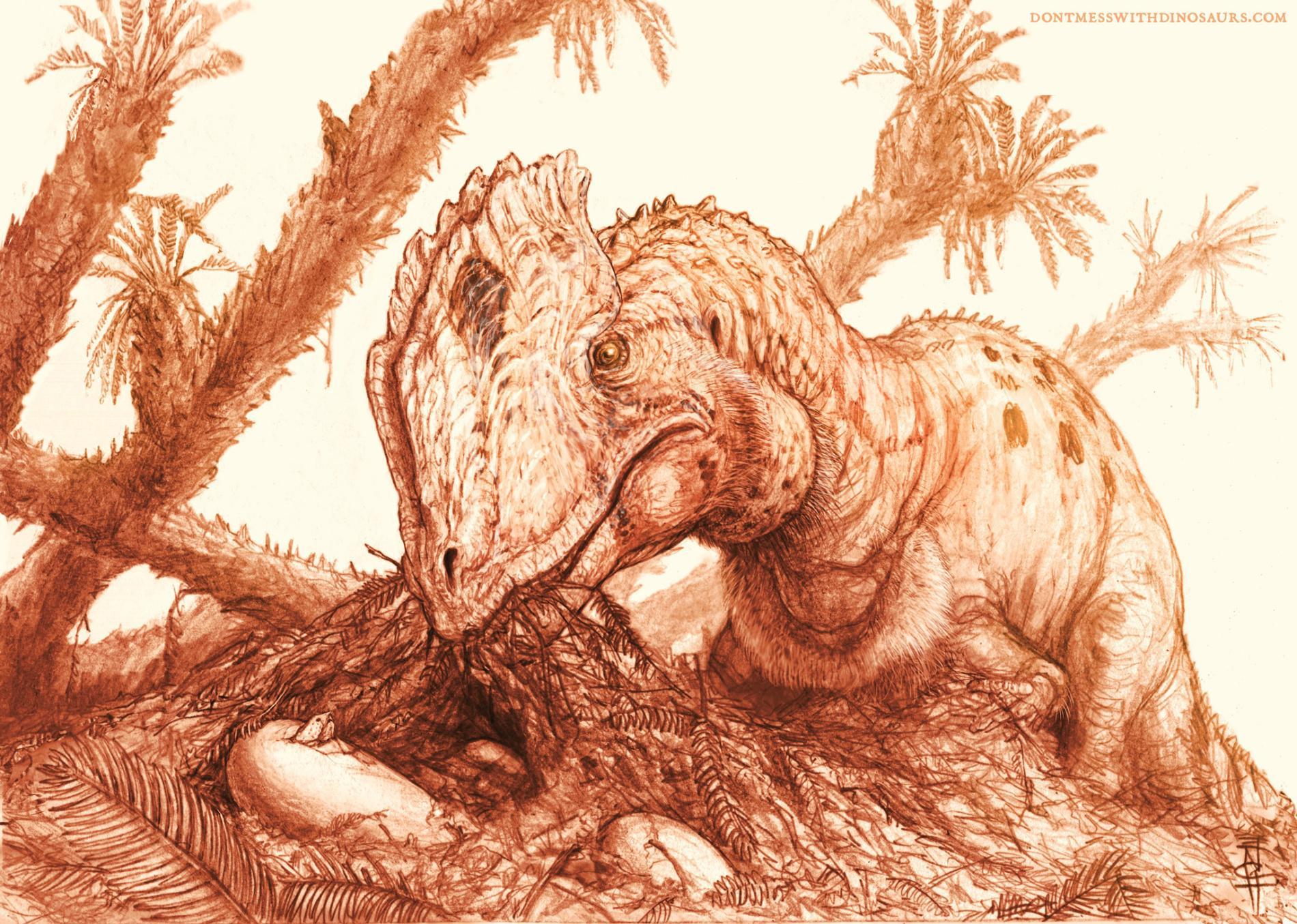 illustration in sepia tones of a dinosaur eating with prehistoric palm trees in the background