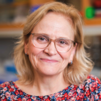 Dr Susan Alberts Headshot