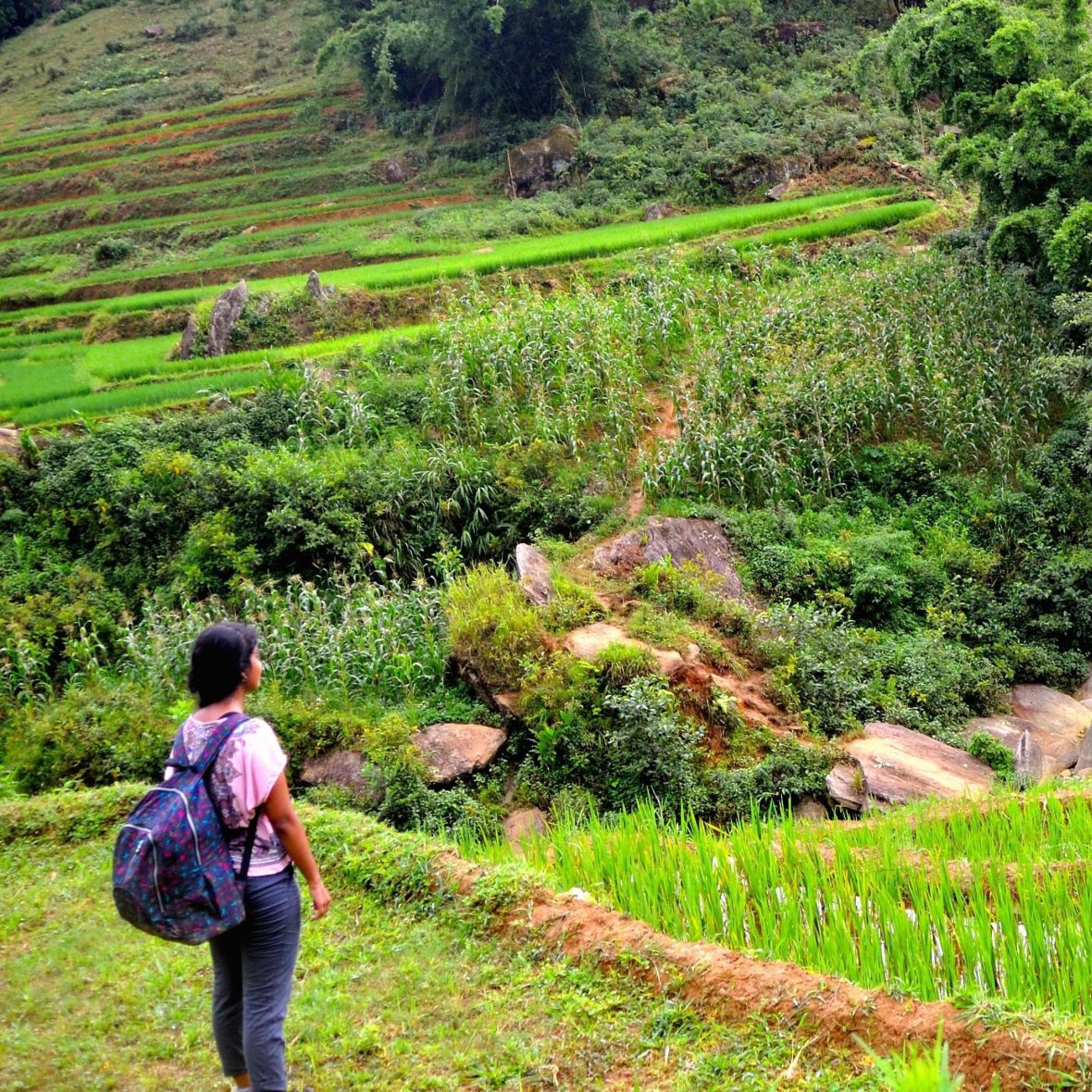 Kamelia Kiawan stands in bottom left, wearing a big backpack, looking out at a verdant green landscape